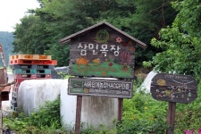 된장찌개 찾던 소녀가 치즈 마니아로…손민우·손현정 부녀