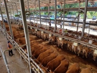 저능력우 선별 방법 찾아라... 정부 수급조절사업 제동