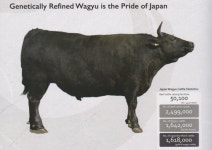 [일본 화우산업 탐방기3] 일본이 화우수출에 전력을 다하는 이유는