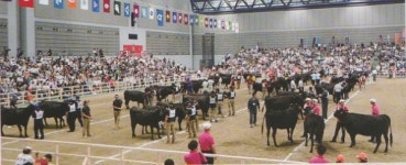 [일본 화우산업 탐방기 4] 화우농가의 경영 컨설팅과 개량 사업
