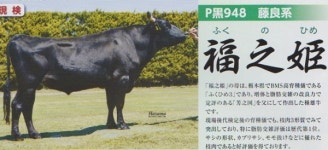 [일본 화우산업 탐방기 4] 화우농가의 경영 컨설팅과 개량 사업