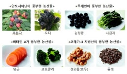 우리 농수산물 많이 먹고 눈 건강 지키세요