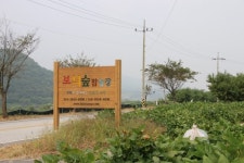 [기획1] 알밤 먹는 닭이 낳은 계란입니다