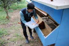 [기획1] 알밤 먹는 닭이 낳은 계란입니다