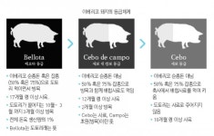 시중 판매하는 이베리코 흑돼지 중 10%는 가짜
