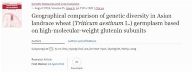 농진청, 제빵용 조숙성 우수 유전자원 선발