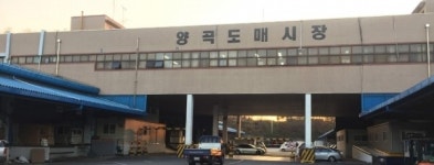 [단독] 법원, 양곡도매시장 중도매인 허가 안해준 서울시 재량권 남용