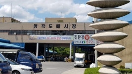 [단독] 양곡도매시장 양재동으로 이전 확정