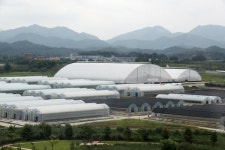 (주)두성온실 | 농진청, '고온 극복 혁신형 스마트 온실' 만들어
