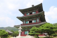 [밀착취재]산에서 놀며 공부 중입니다···숲을 읽고 보고 쓰는 아이들