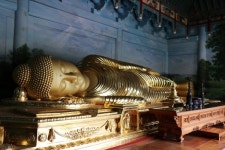 [밀착취재]산에서 놀며 공부 중입니다···숲을 읽고 보고 쓰는 아이들