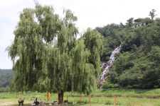 [밀착취재]산에서 놀며 공부 중입니다···숲을 읽고 보고 쓰는 아이들