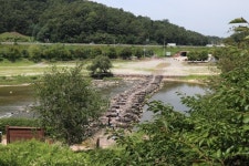 [밀착취재]산에서 놀며 공부 중입니다···숲을 읽고 보고 쓰는 아이들