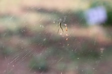 [밀착취재]산에서 놀며 공부 중입니다···숲을 읽고 보고 쓰는 아이들