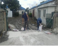 [사진으로 본 현장]아프리카돼지열병과 사투 중인 한돈 농가들