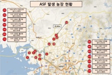 아프리카돼지열병 14번째 확진…농식품부 완충지역 설정
