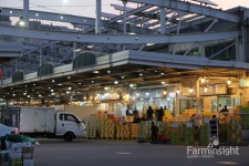 [시장도매인 재무제표②-강서농산물도매시장] 도매시장 발전 견인 시장도매인 성장률 쑥쑥