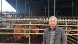 가축분 퇴비 그대로 쌓아두면 교반도, 부숙도 어렵습니다