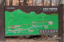 조선시대 핫플 합격으로 가는 지름길? 아니 숲길! 조령산자연휴양림