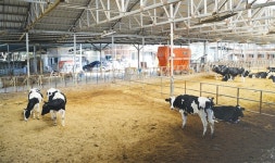 국내산 목장우유 감산만이 해답일까?