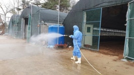 오리농가 단위 기본 방역수칙 준수 당부