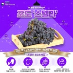 농진청, 국산 포도 스텔라 시장에 첫 선