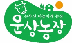 경북 안동에도 1.2톤 슈퍼한우 출현