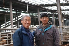 한우 보증씨수소 아홉마리 생산의 저력... 계림농장을 찾아