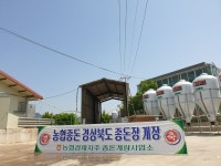 농협 종돈개량사업소, 의성GGP 개장 본격 운영