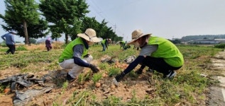 농협 축산기획부, 농촌 일손돕기 실시