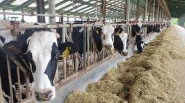 한종협, 최신 유성분 분석기 추가 도입...젖소개량사업 박차 