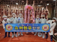 고령축산물공판장, 합천축협 슈퍼한우 경매 실시