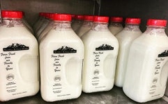 미국 알래스카주 유일한 젖소 목장이 판매하는 우유병이 회수되지 않아 곤욕을 치르고 있다
