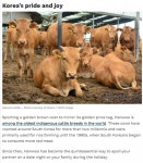 한우품질고급화의 역사와 앞으로의 대응 방안