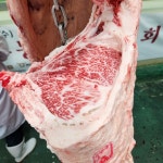 [인터뷰]한우경진대회 이어 한우능력평가대회 재패한 홍창영 농가