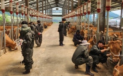 농협, 미래 한우산업 이끌 전문인력 15명 배출