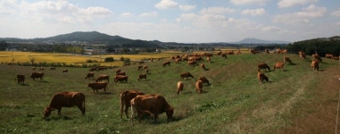 농협, 스마트 유통·친환경 생산으로 농업 전과정 혁신 추진
