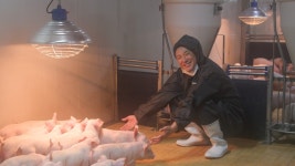 농협, 제8회 청정축산환경대상에 대주농장 최종 선정