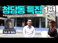 “한류 스타는 어떤 빌딩을 살까?”...‘별들의 동네’ 청담동 둘러보기