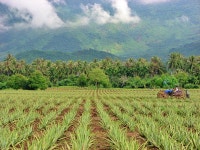 유니베라, 알로에 부문 ‘세계일류상품’ 17년연속 선정