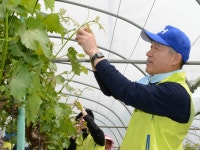 NH손보, 안성시 율동마을서 농촌봉사