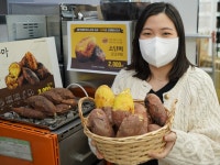 세븐일레븐, 당도 높은 신품종 ‘소담미 고구마’ 판다