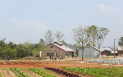 Sangha Farm pioneering in experiential tourism 