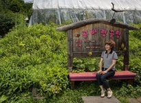 Cancer survivor testifies to organic diet, remote lifestyle that saved her life