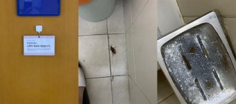 [단독] 청화여성병원, 제왕절개 산모 1인실서 바퀴벌레...병실 바꾸려면 걸어서 가라