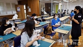 영진전문대, 우리집 반려동물과 행복하게 살기 무료 특강
