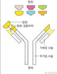 [시니어이미지메이킹] 모더나 부스터샷 3차 접종후 한달, 이상증상 지속되지만