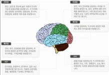 [시니어이미지칼럼] 3대째, 대물림되고있는 뇌질환의 가족력