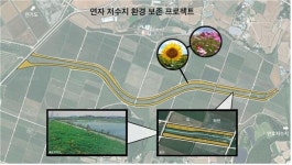 전남 해남에 황새가 돌아왔다...해남군 황산면 연호 저수지서 발견