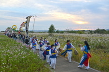 [광주서구 소식] 영산강 문화의 메카 제7회 서창들녘 억새축제 성료